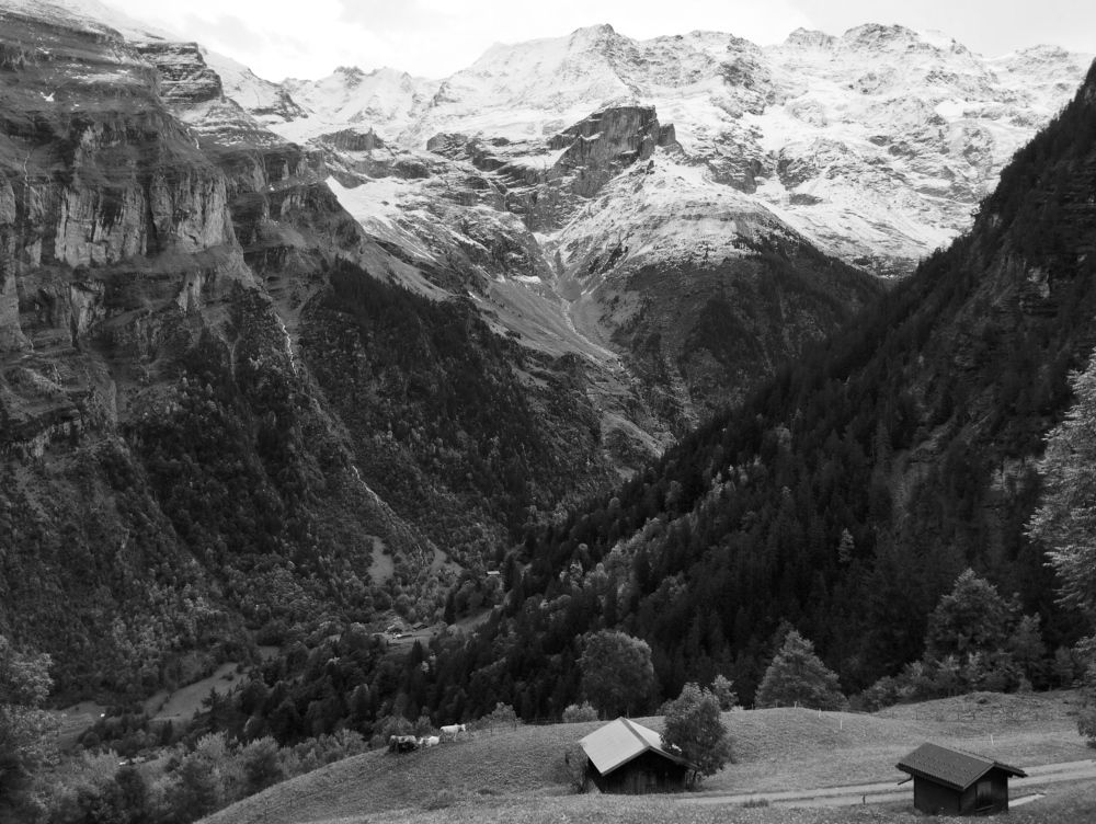 Photograph by Галина Лысых