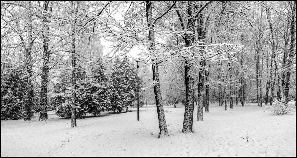 Фотография автора Лев