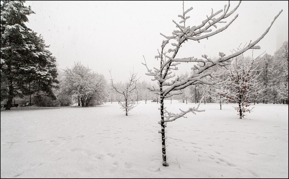 Фотография автора Лев