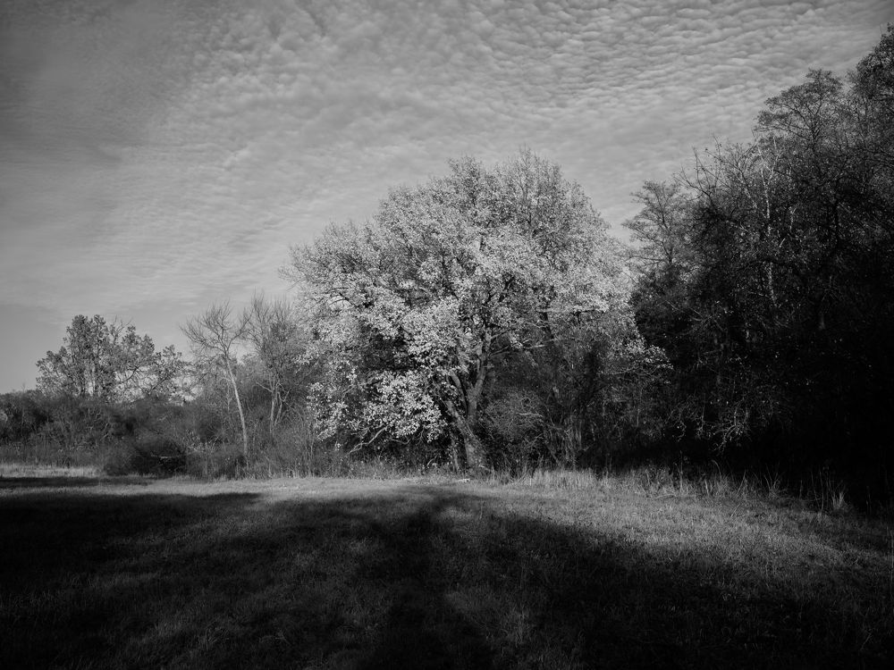 Photograph by Александр Битюков