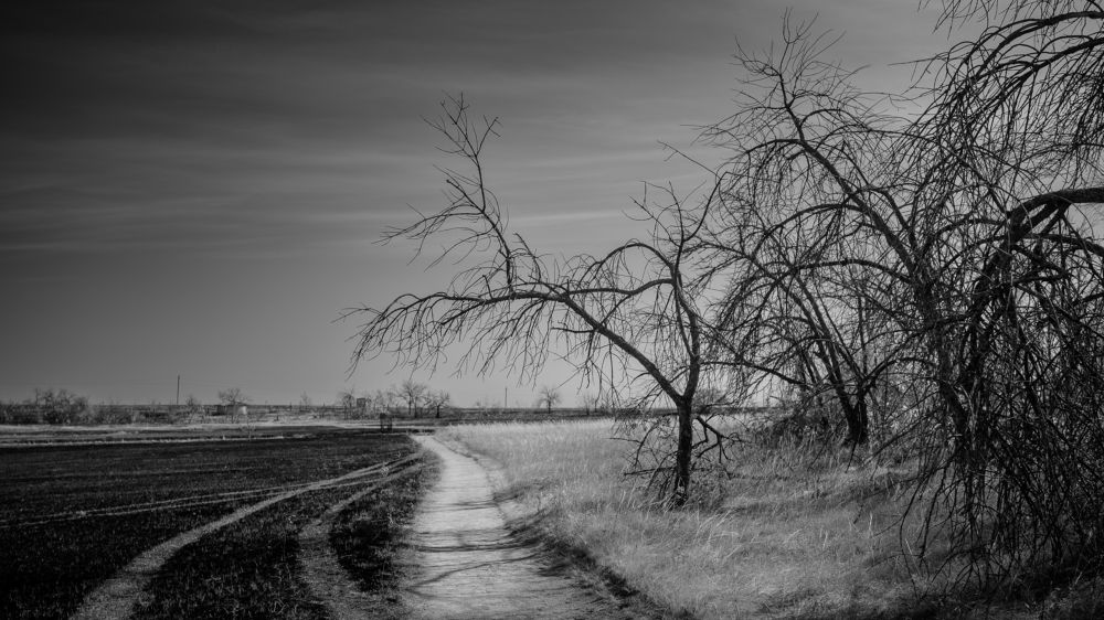 Photograph by Александр Битюков