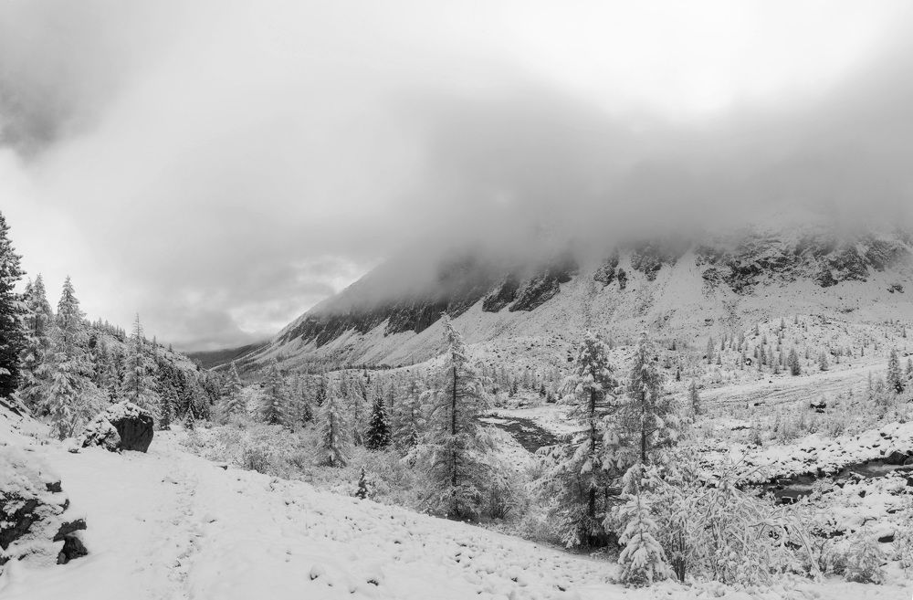 Photograph by Сергей Молоков