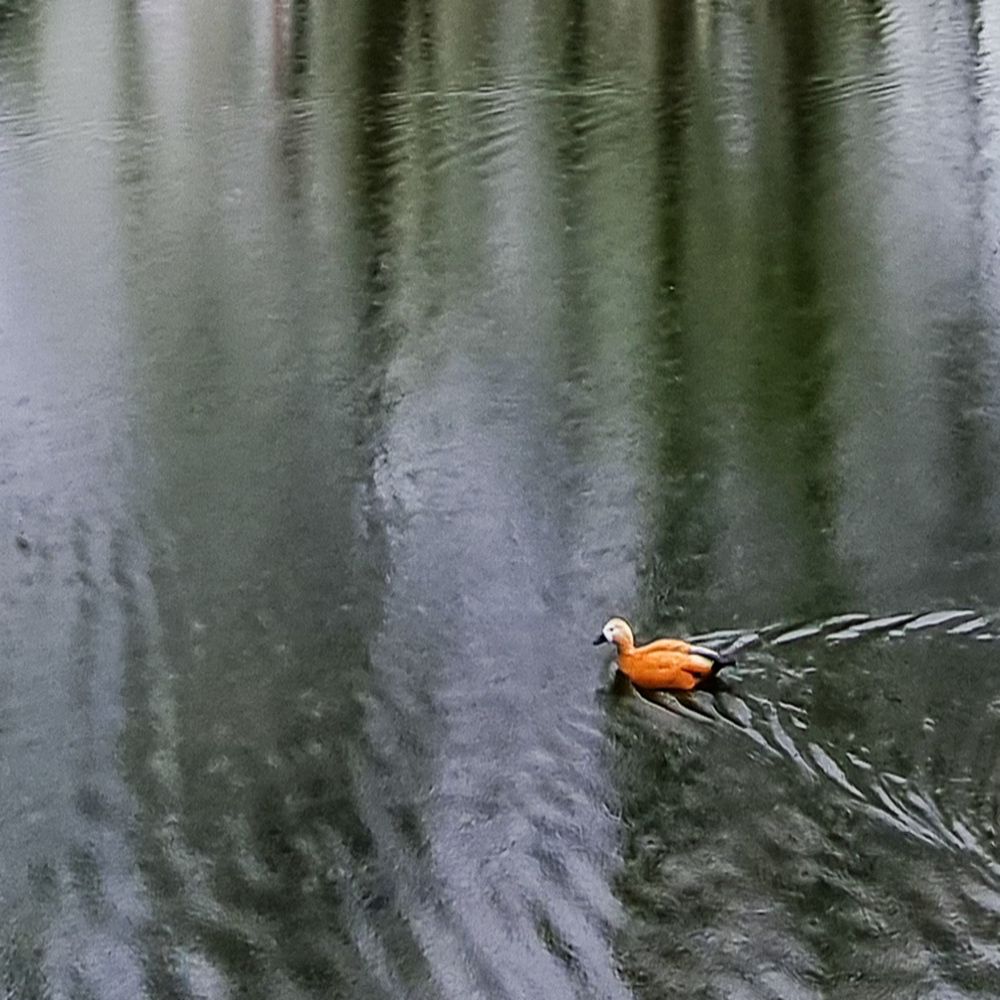 Photograph by Светлана Алексеева