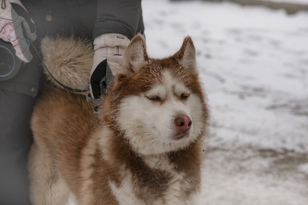 Photograph by  Мария