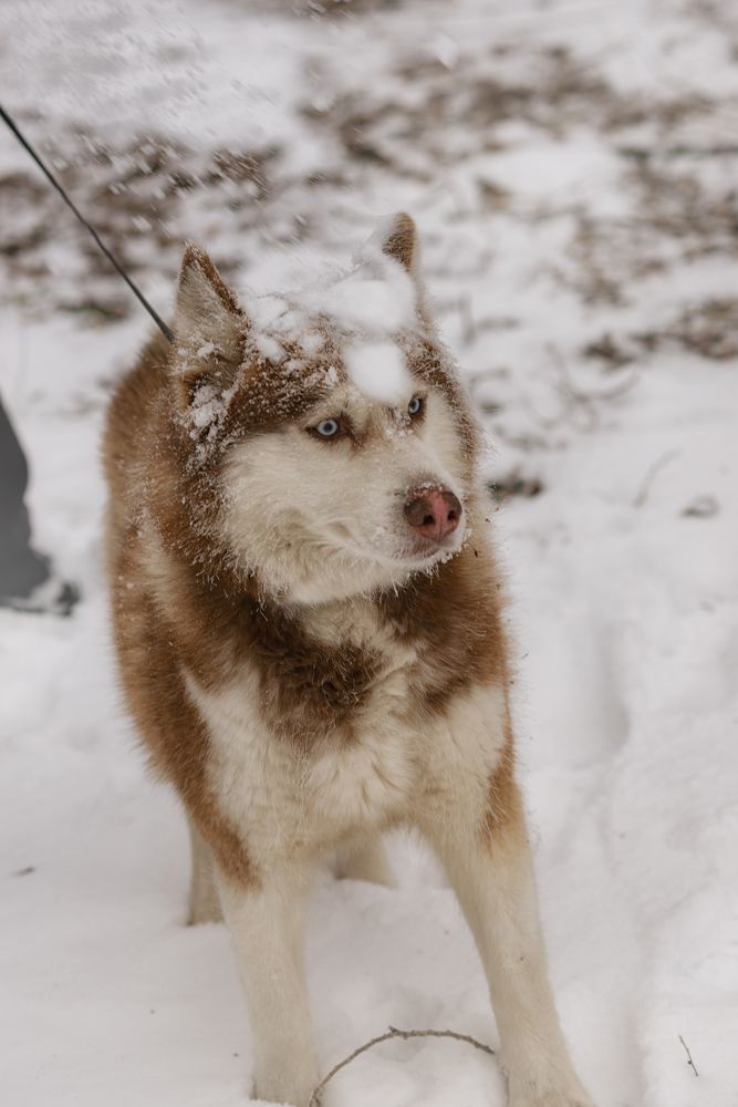 Photograph by  Мария