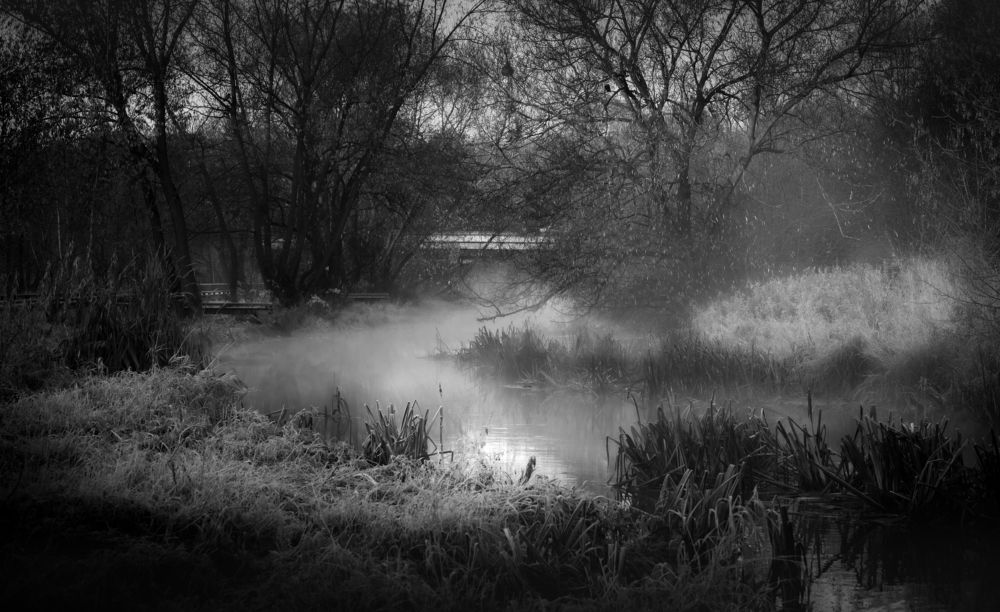 Фотография автора Владимир Барсуков