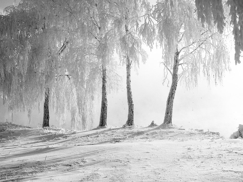 Photograph by Владимир Малёшин