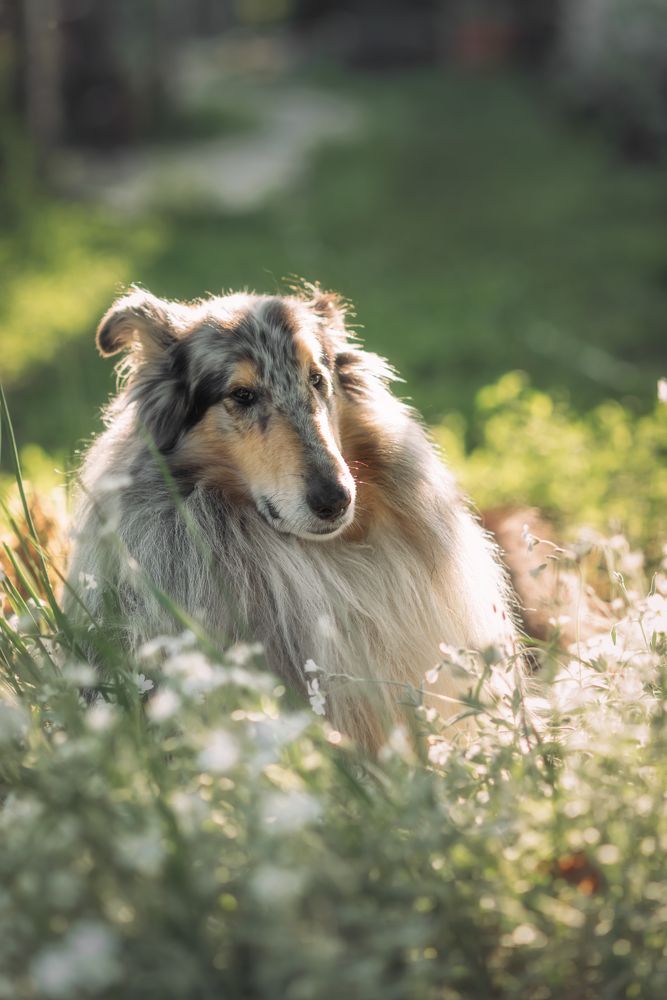 Photograph by  Мария