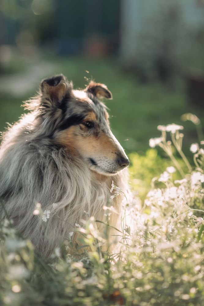 Photograph by  Мария