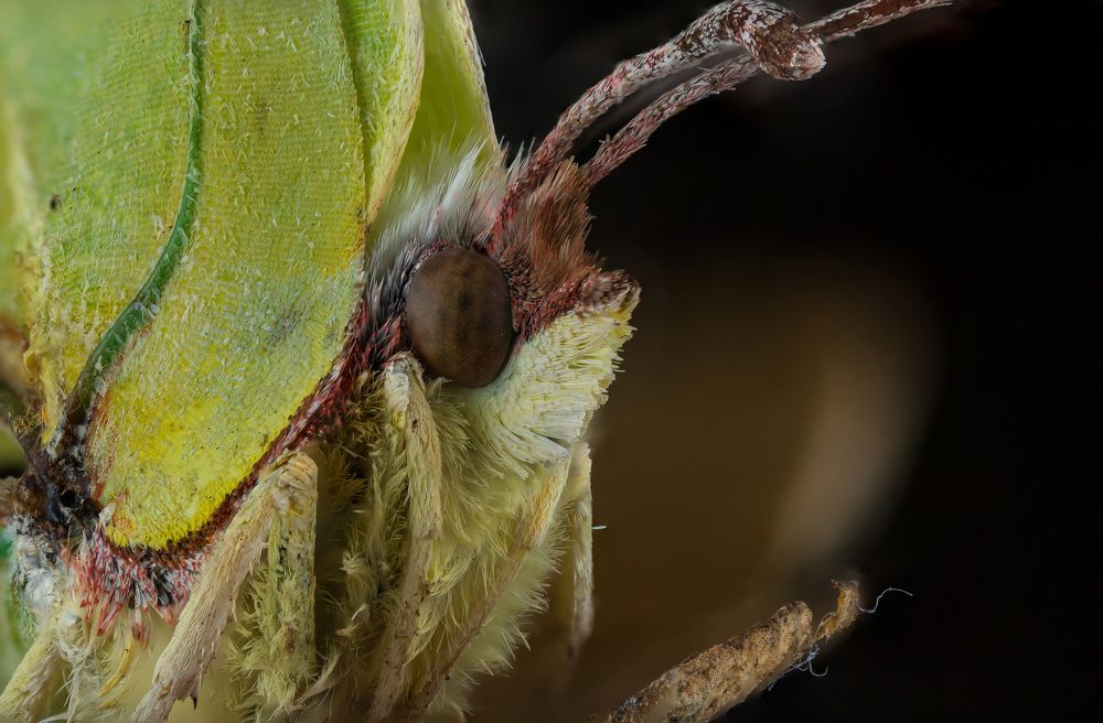 Photograph by Артём Малышев