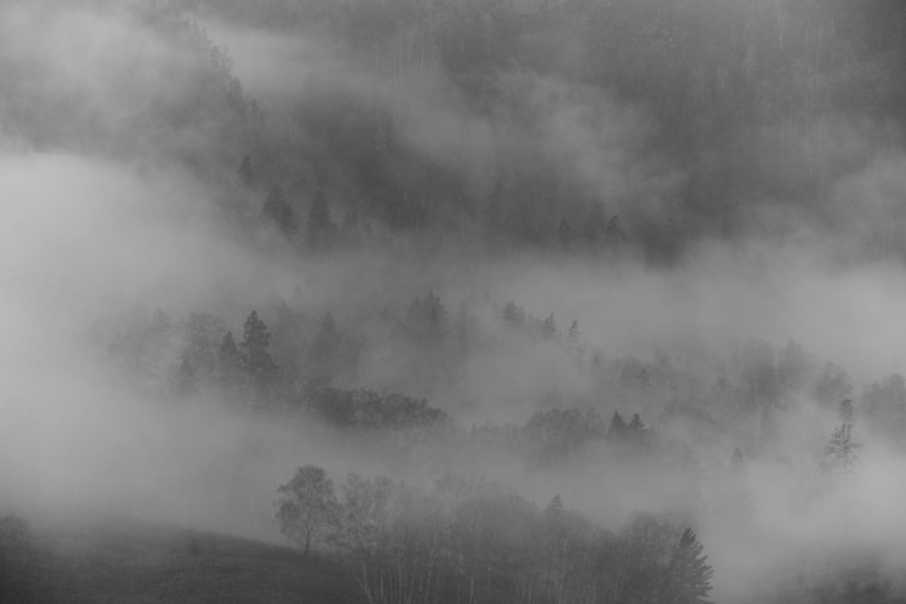 Photograph by Михаил Рогачев