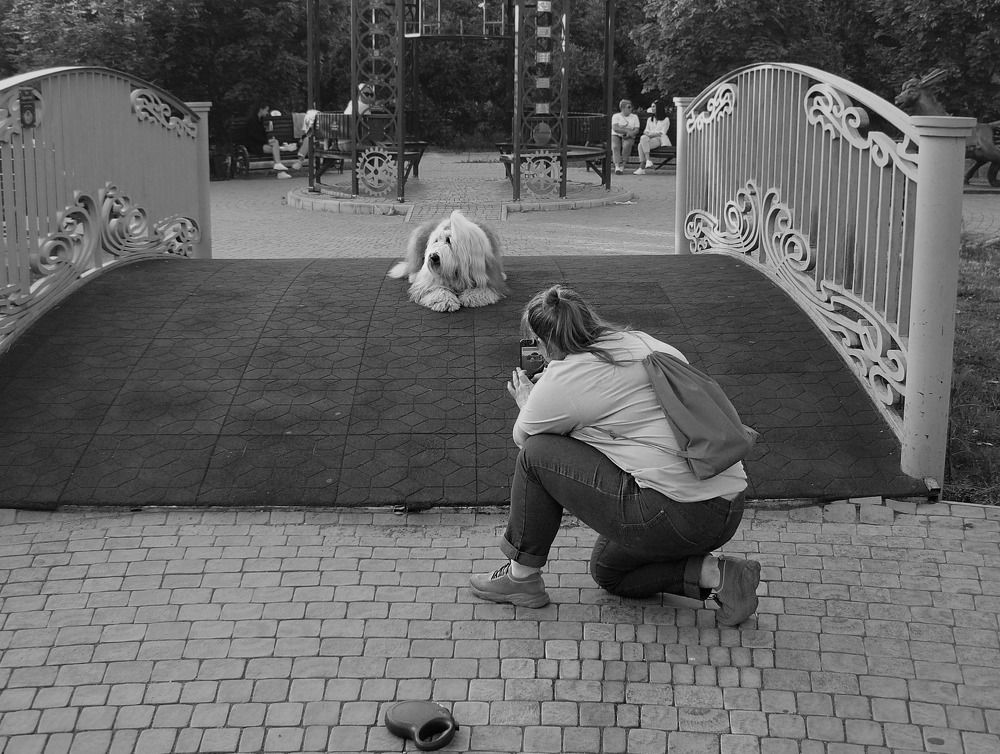 Photograph by Валерий Алфимов