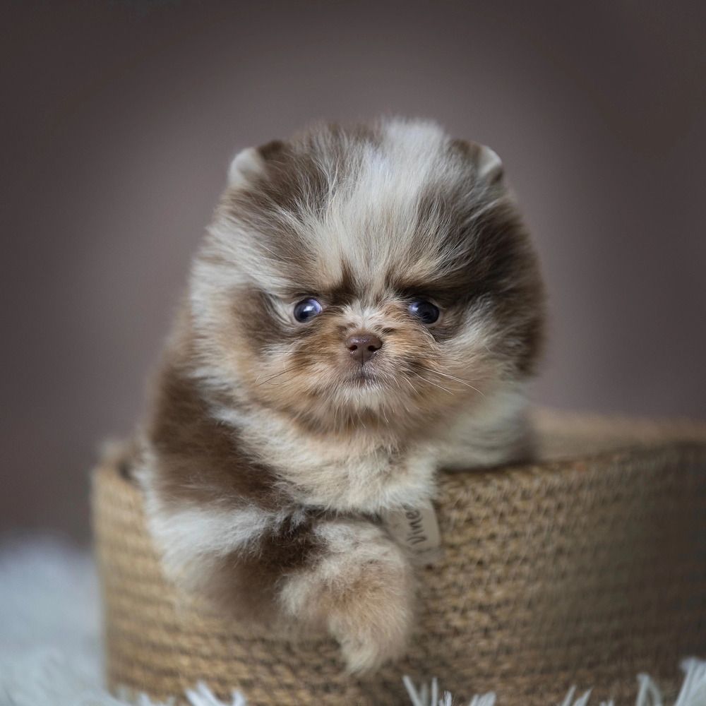 Photograph by Кристина Невлер