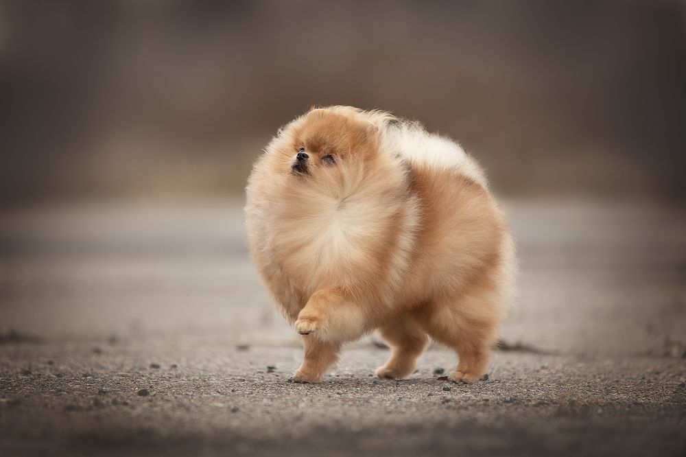 Photograph by Кристина Невлер