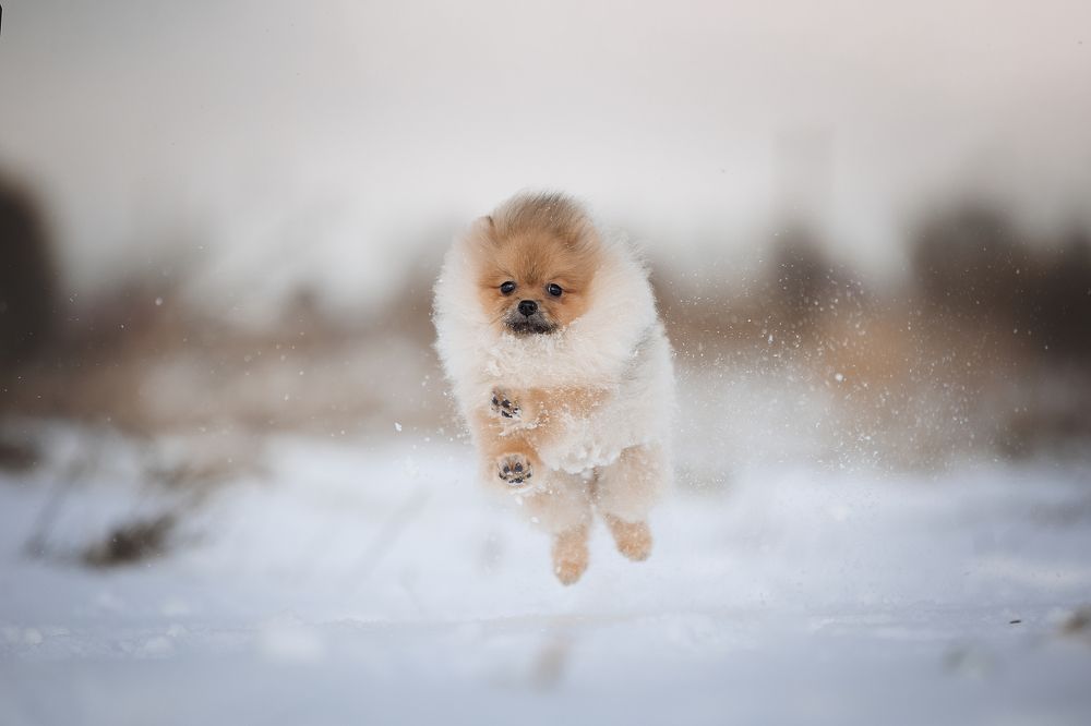 Photograph by Кристина Невлер