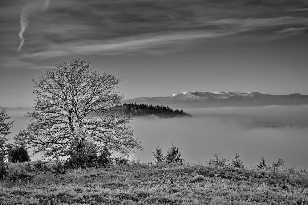 Photograph by Milan Cernak