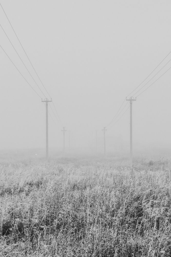 Photograph by Алия Латыйпова