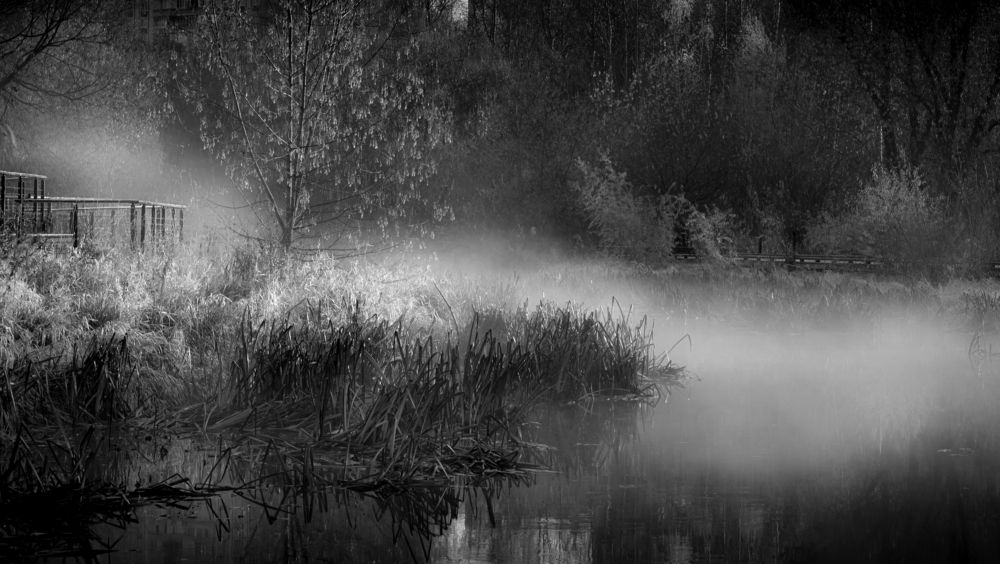 Фотография автора Владимир Барсуков