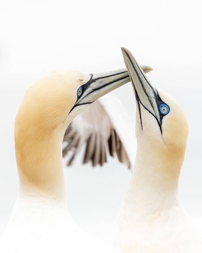 Photograph by Phillip Hoffmann