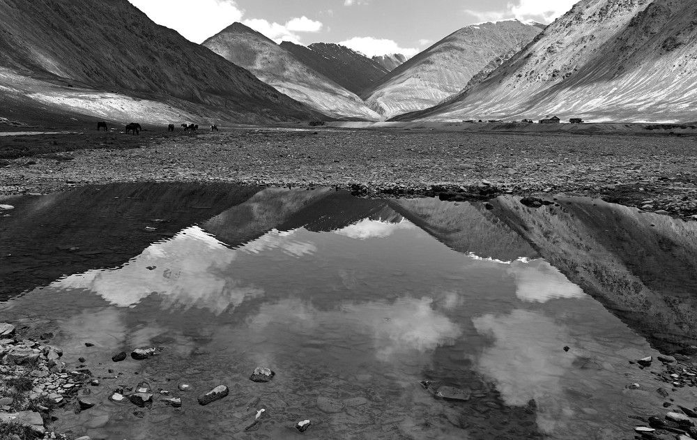 Photograph by Диана Жагрина