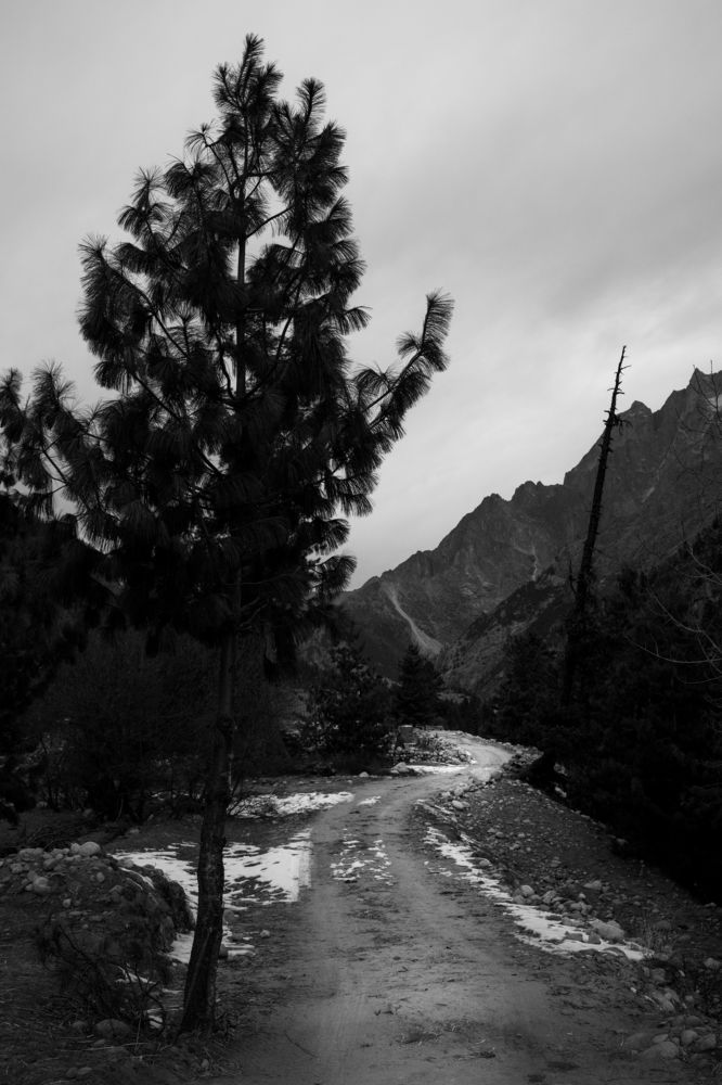 Photograph by Amey Mote