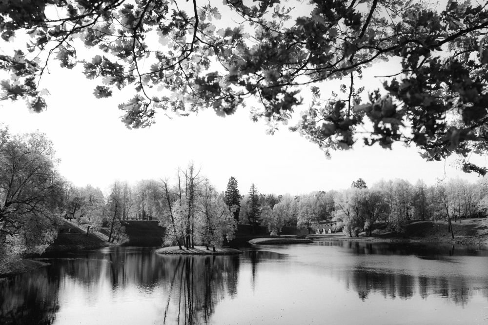 Photograph by Наталья Чернышова