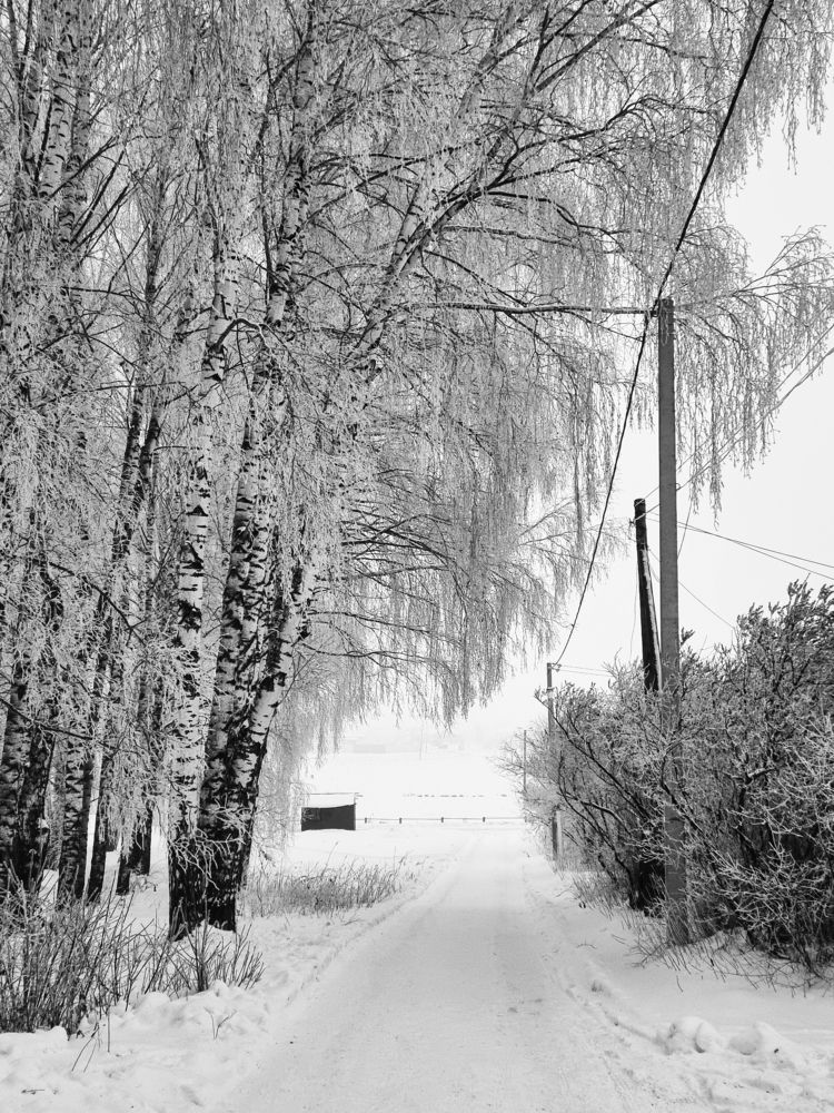 Фотография автора Наталья Агапова