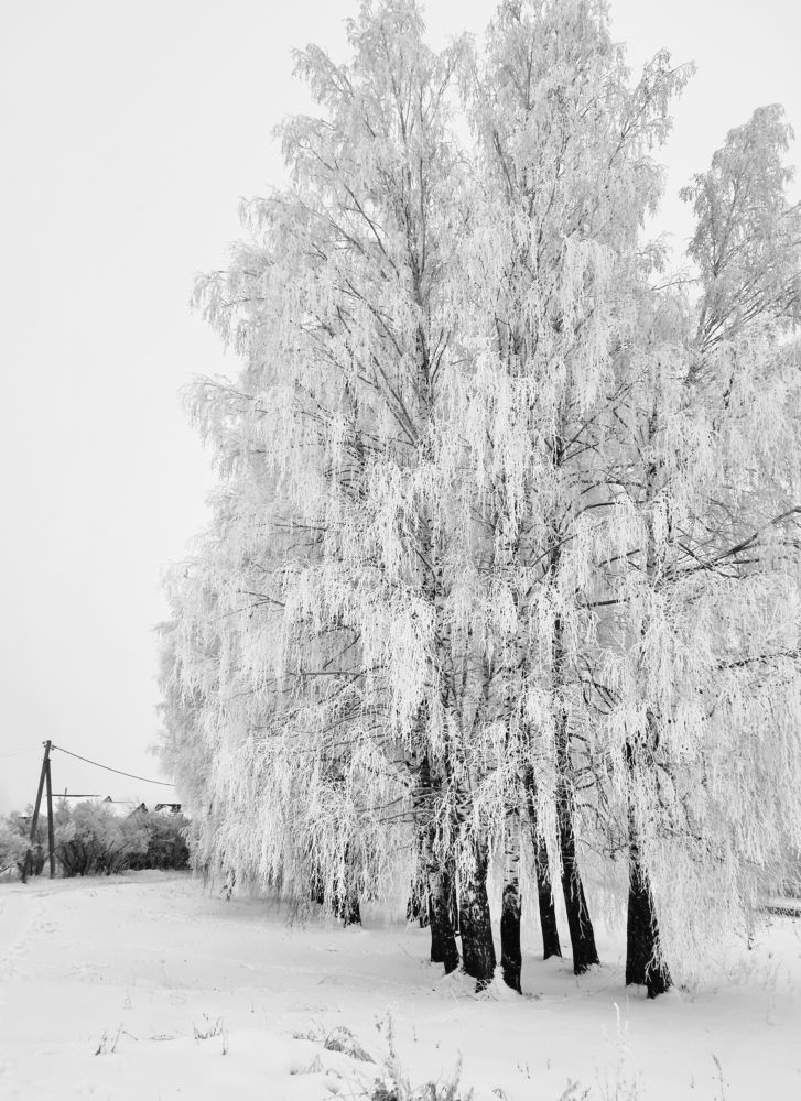 Фотография автора Наталья Агапова