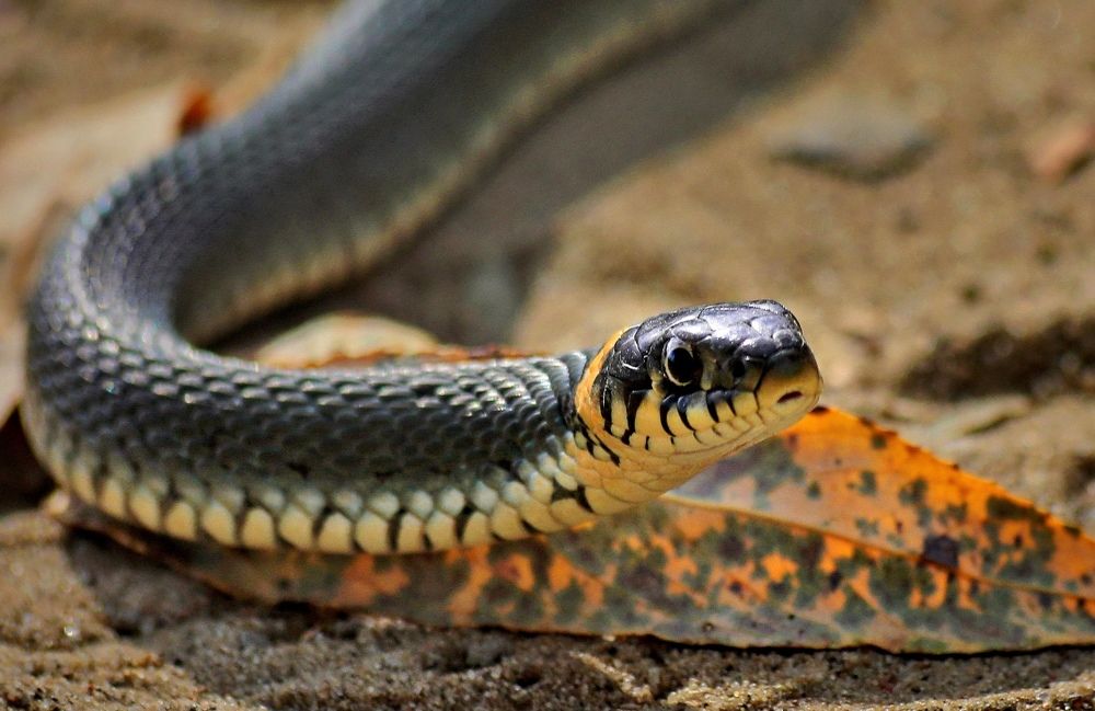 Photograph by Татьяна Бравая