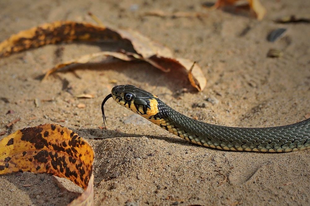 Photograph by Татьяна Бравая