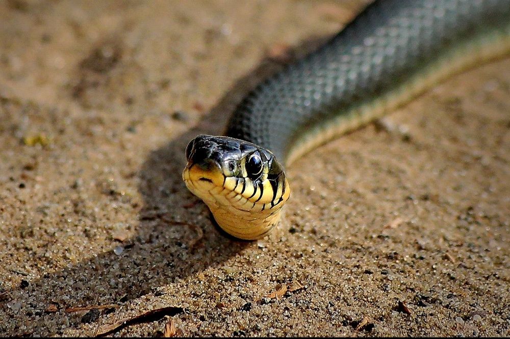 Photograph by Татьяна Бравая