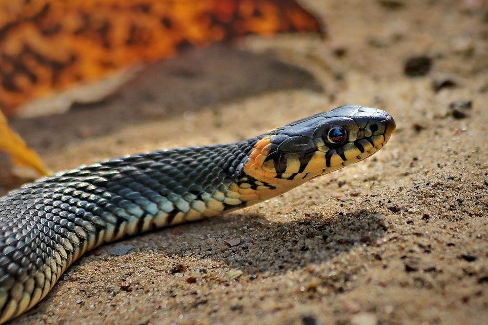 Photograph by Татьяна Бравая