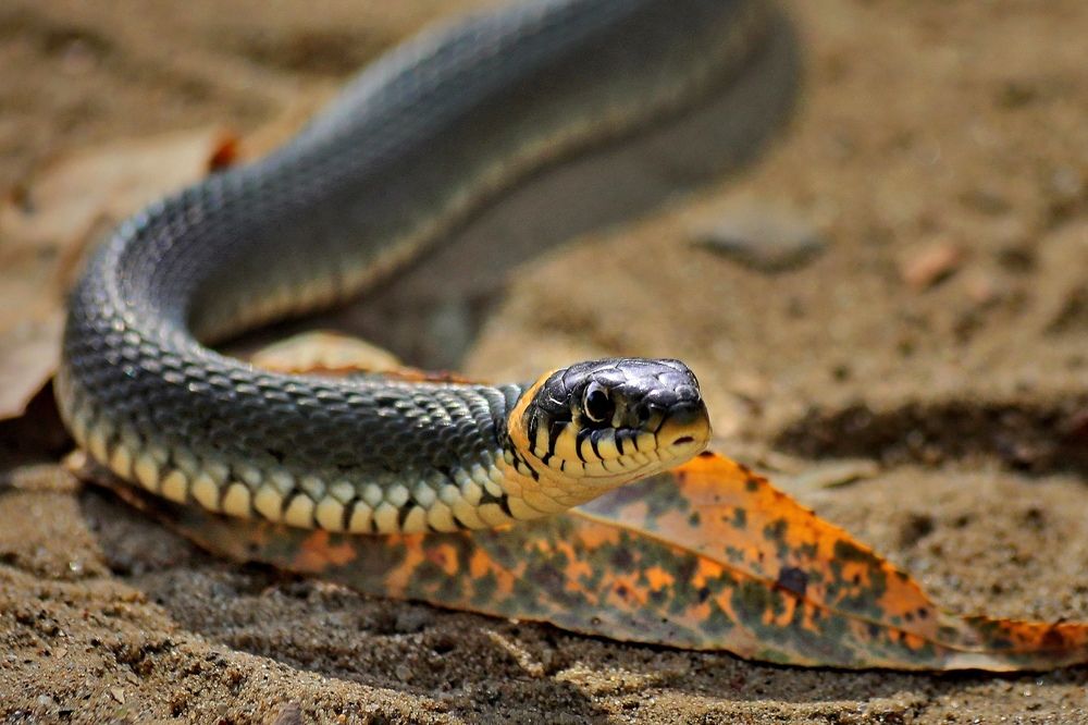 Photograph by Татьяна Бравая