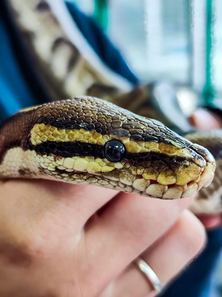 Photograph by Ирина Шибитова