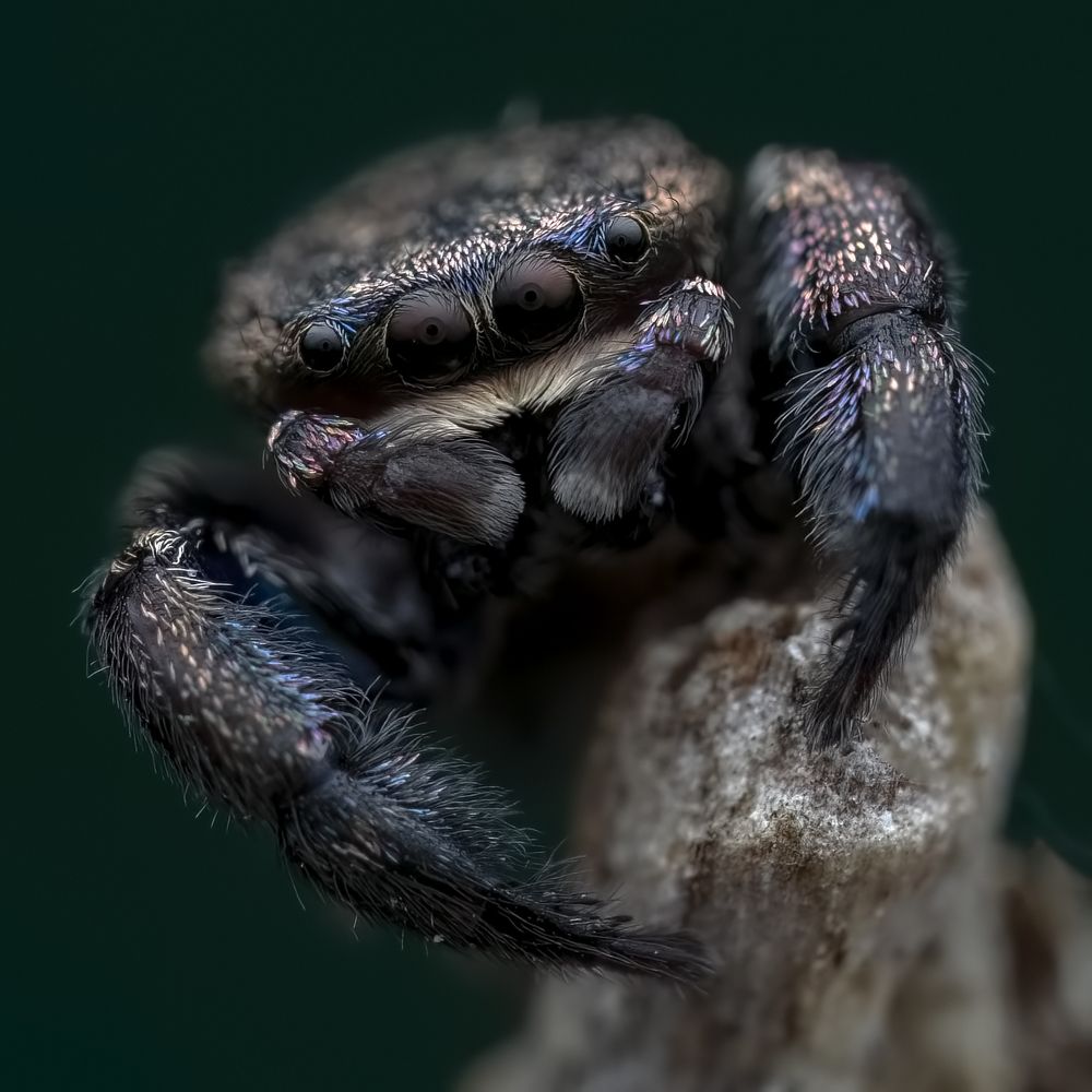 Photograph by Paul Irvine