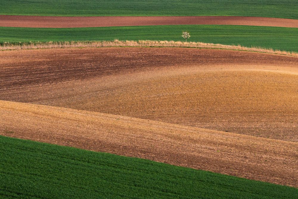 Photograph by Milan Chudoba