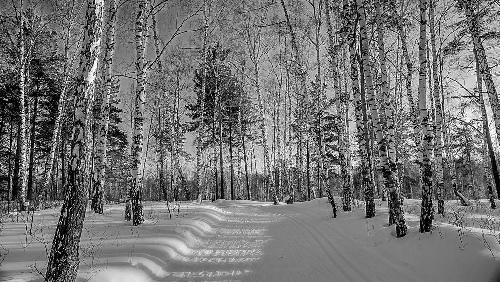 Photograph by Пушкин Сергей