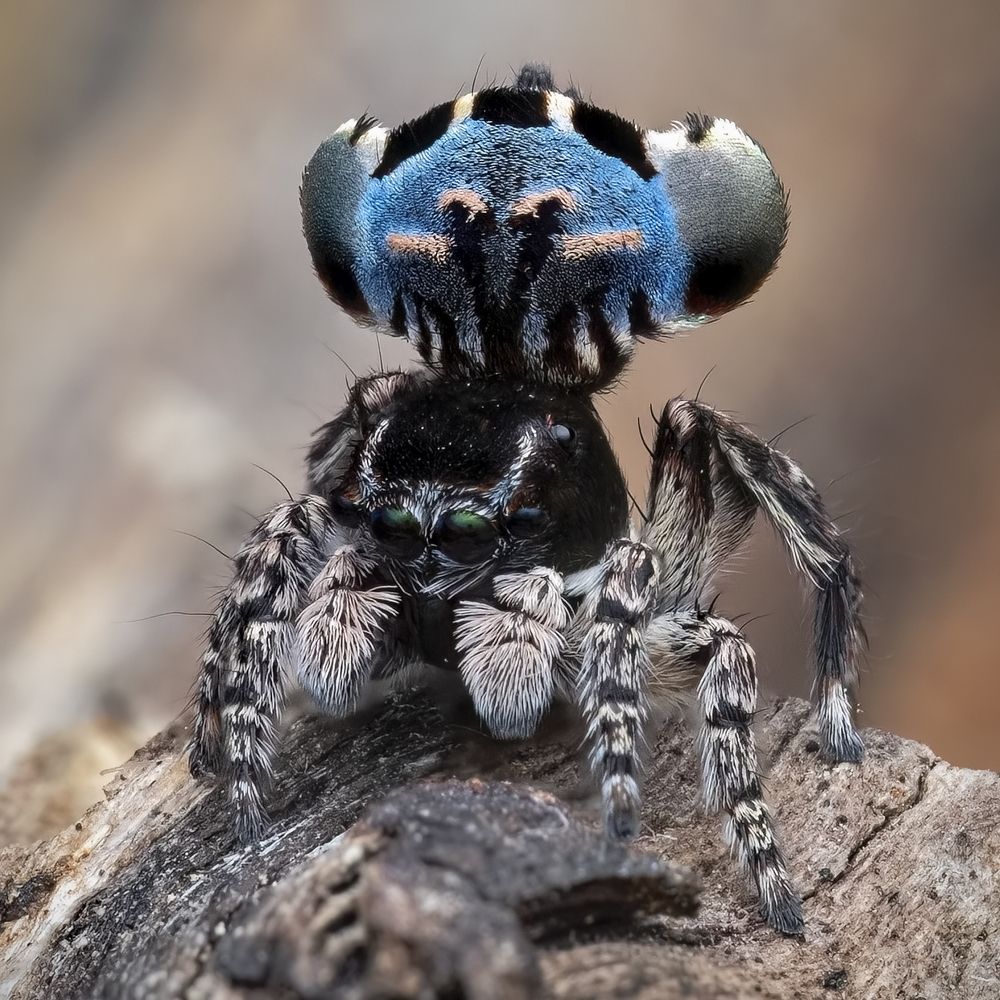 Photograph by Paul Irvine