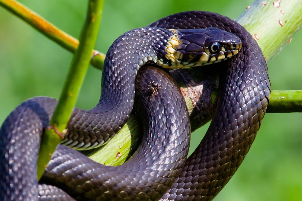 Photograph by Владимир Говоров