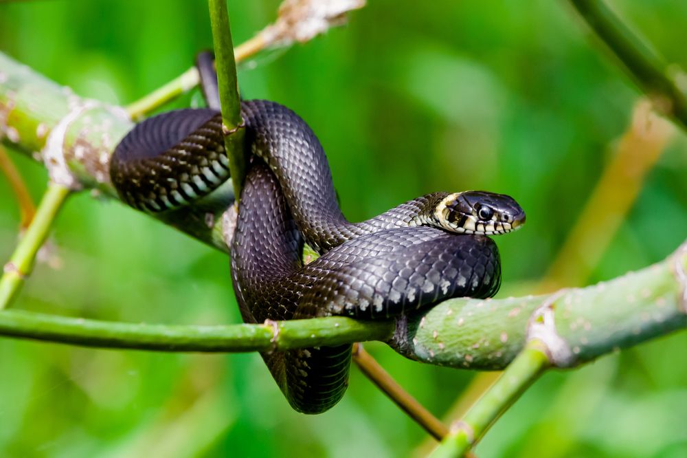Photograph by Владимир Говоров