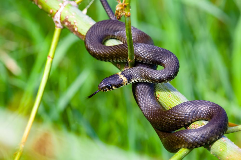 Photograph by Владимир Говоров