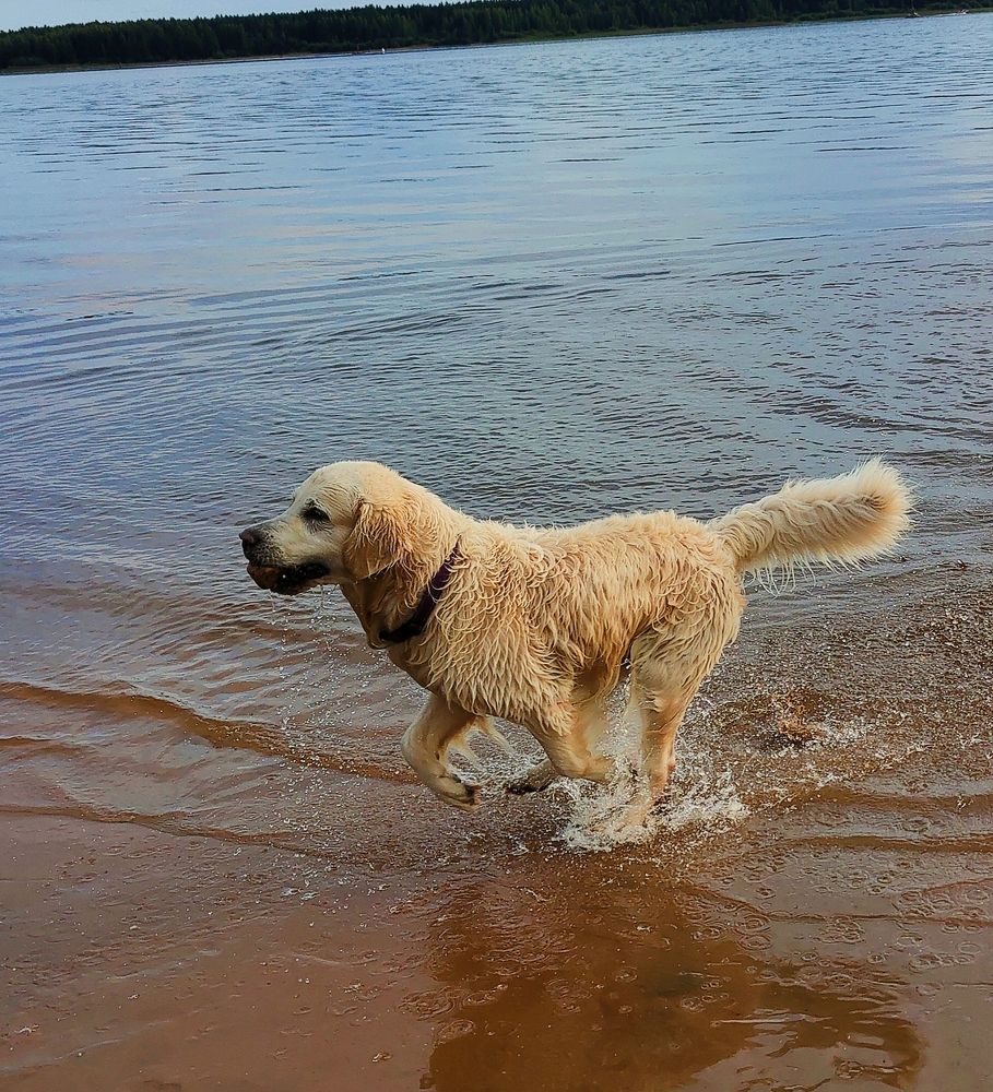 Фотография автора Светлана Смирнова