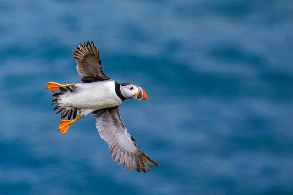 Photograph by Ellen Lichtenheldt