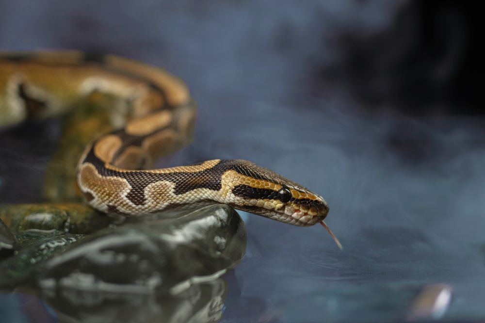 Photograph by Зубкова Юлия