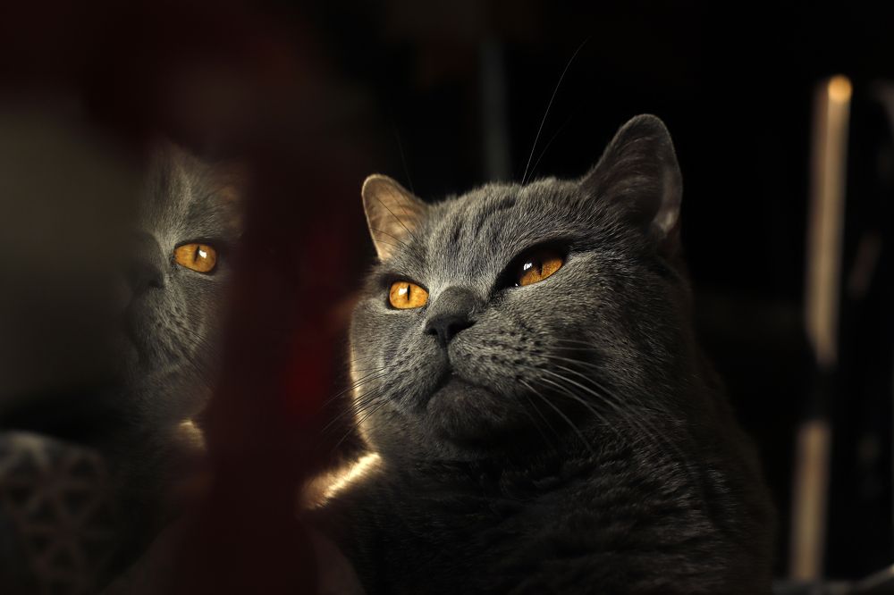 Photograph by Антон Леонов