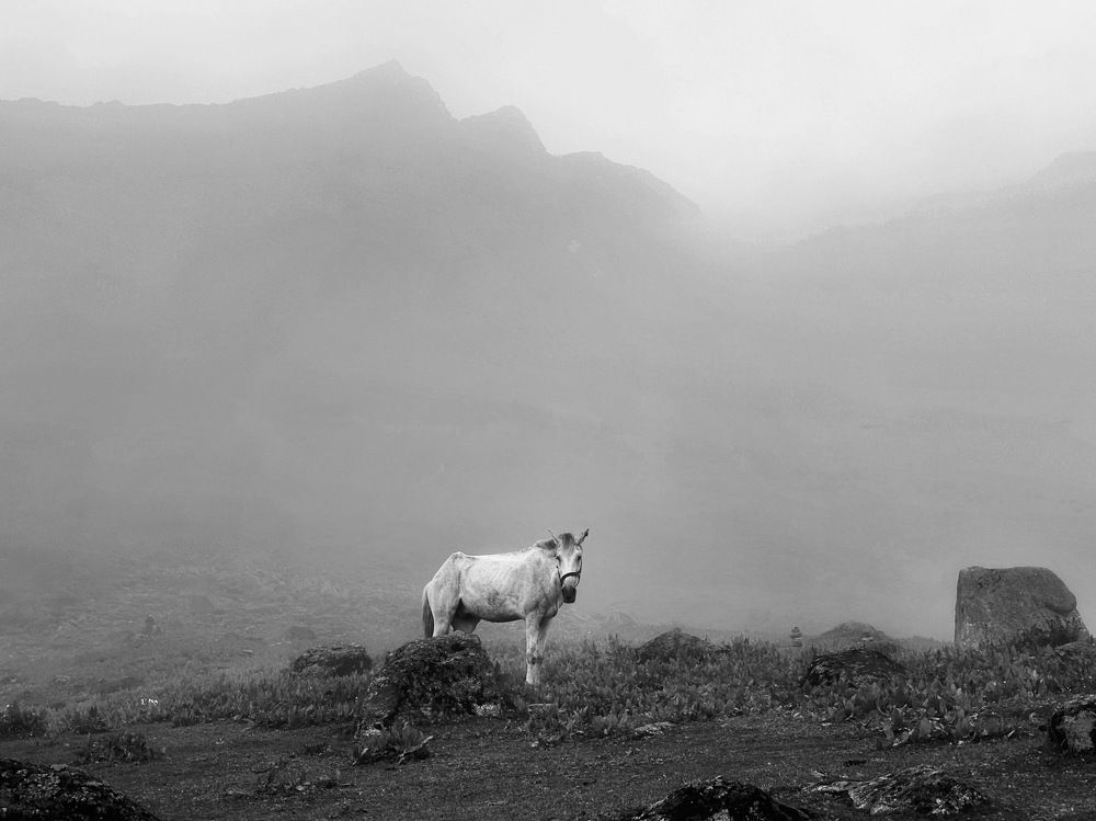 Photograph by Ashish Kalsarpe