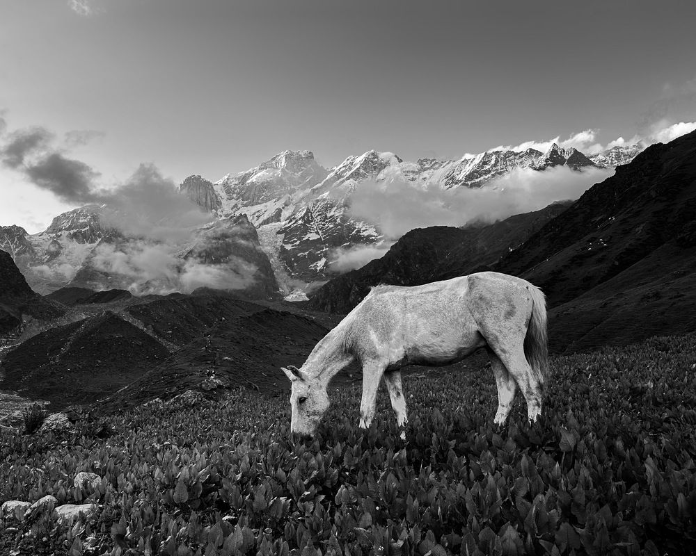 Photograph by Ashish Kalsarpe