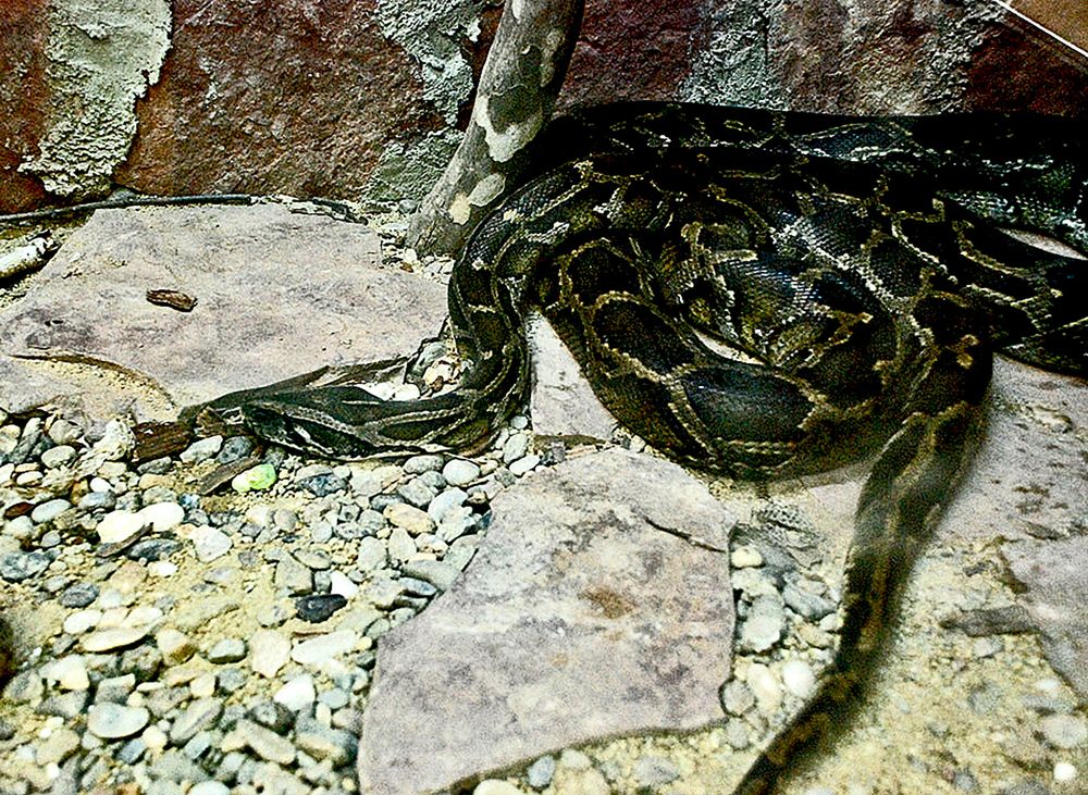 Photograph by Gordana Nikolovska-Dimeska