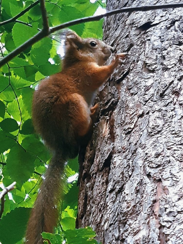 Photograph by Olga Александрова