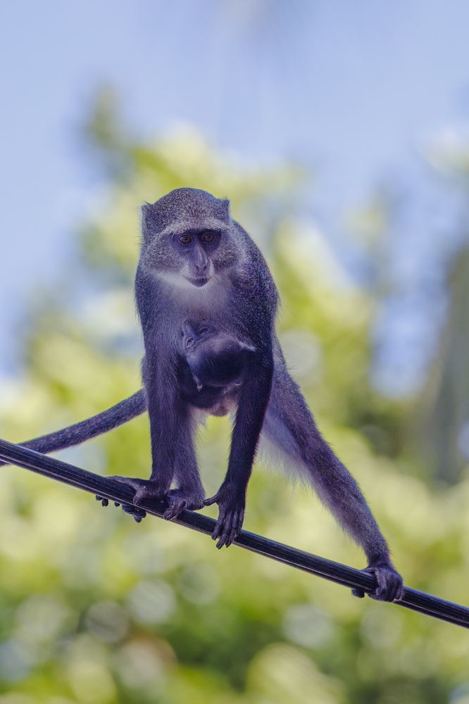 Photograph by Ellen Lichtenheldt